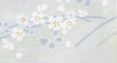 300305-0225