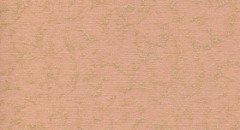 300331-2746
