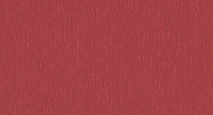 100101-4454