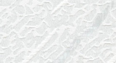 100307-0225