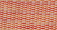 100512-4120