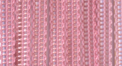 100601-4082